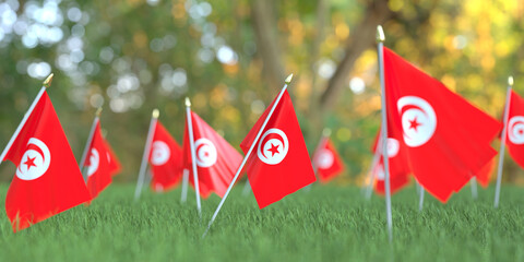 National flags of Tunisia in the grass. Celebration related 3D rendering