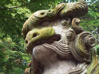 狛犬 guardian dogs