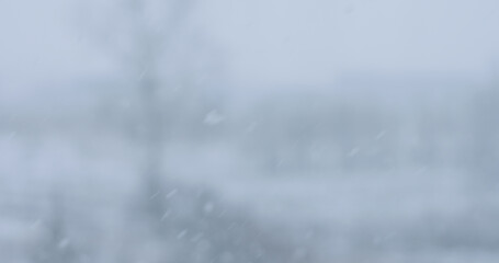 snowfall with blurred forest on a background