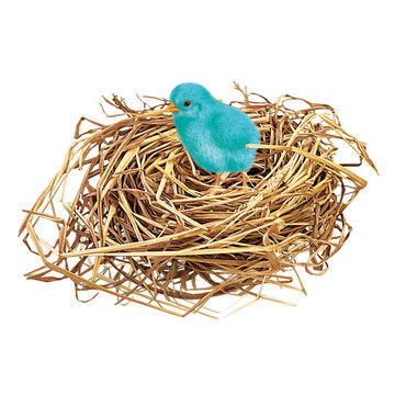 5 854 Best Nid Oiseau Images Stock Photos Vectors Adobe Stock 5 854 Best Nid Oiseau Images Stock Photos Vectors Adobe Stock