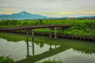Fototapeta na wymiar 滋賀県・古いコンクリート橋に田園と伊吹山の遠景