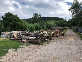 Fototapeta premium Heap of felled tree trunks