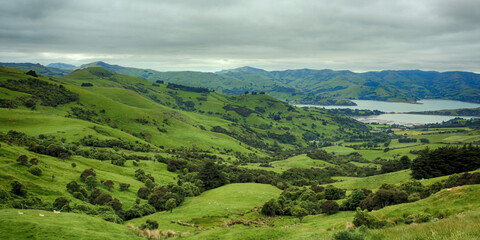 Obraz premium Lush green landscapes on a cloudy day near Lake Akaroa, New Zealand