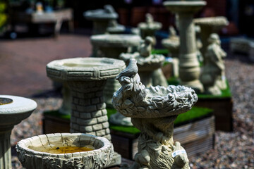 Garden show with plants and flowers