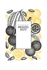 Hand drawn brazilian nut branch and kernels design template. Organic food vector illustration on white background. Vintage nut illustration. Engraved style botanical banner.