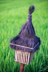 rice field little temple for offerings. Island of Bali, Indonesia