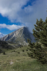 A mountain surrounded by clouds