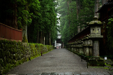 世界遺産　日光二荒山神社参道