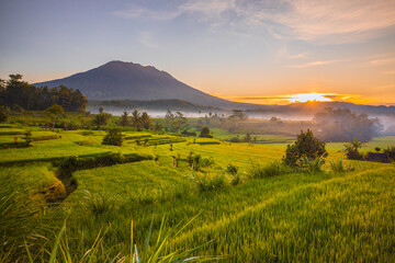 Obraz premium Beautiful landscape during sunrise. Rice paddies with Agung Volcano on the background. Scenic panoramic view. Sunlight on the horizon. Bali, Indonesia