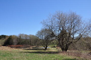 Ernthal am Rennsteig