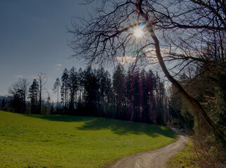 Riedergraben Schweiz