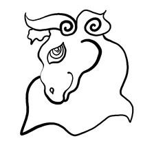 head of a bull