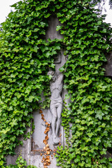 Kreuzigungsszene inmitten von Efeu