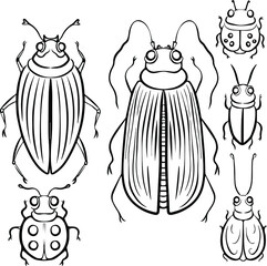 black and white beetles insects vector illustration print set