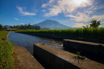 Tropical landscape during sunrise. Scenic view to Agung Volcano. River and rice fields in the village. Bali, Indonesia