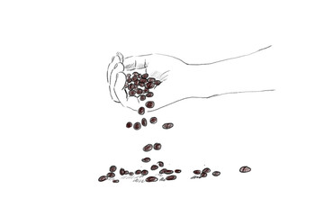 Pencil drawing: coffee beans fall from the palm of your hand to the surface