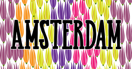 Word Amsterdam in black color on colorful tulips cover for souvenir products, icon or emblem, screensaver for site, article and advertising.