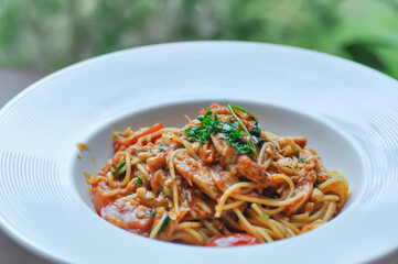 spaghetti or shell spaghetti ,pasta