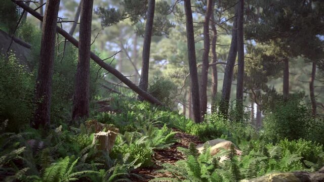 Path In Forest is a stock motion graphics video that features a gorgeous scenery of a garden path during summer.footage is applicable to use in any project that depicts the summer season