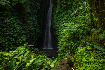Waterfall landscape. Beautiful hidden Leke Leke waterfall in Bali. Waterfall in tropical rainforest. Focus on foreground with plants. Slow shutter speed, motion photography.