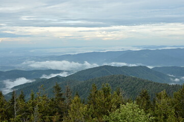Obraz premium Radziejowa Poland. View of the Beskids from the observation tower.