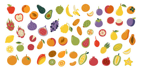 Exotic tropical fruits graphic set. Vector illustration.