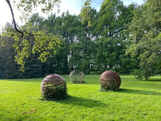 Landscape of the Park and trees on the island of flowers (Flower Island Mainau on the Lake...