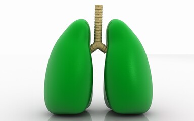 3D illustration  of lungs on white background