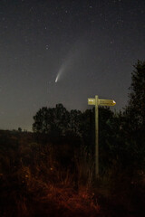 El cometa neowise en el firmamento