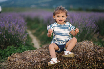 Naklejka na ściany i meble Adorable little girl sits on hay by the farm. Background of summer lavender field. Cute girl in striped t-shirt and blue shorts