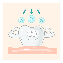 Colored illustration about health and tooth care. White strong tooth with calcium balls. Great illustration for healthcare design.