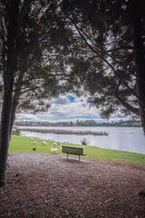 Obraz premium bench in the park