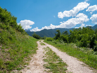 Fototapeta na wymiar Dirt road in the alpine mountains background. Walk on the dolomites in the summer. 