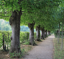 Schlosspark Zabeltitz