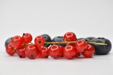 Maliny i borówki na białym tle.  © Krzysztof Głowacki