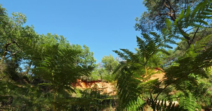 The french Colorado, Rustrel, Vaucluse, Provence,France