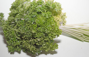 Macro photography of fresh parsley leaves. Spicy seasoning for first and second courses. An element...
