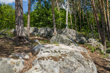 summer, day, walk, nature, sky, clouds, space, height, distance, forest, trees, pines, green, crowns, foliage, grass, elevation, slopes, earth, shapeless, stone, boulders, blocks, moss, light, shadow