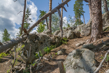 summer, day, walk, nature, sky, clouds, space, height, distance, forest, trees, pines, green, crowns, foliage, grass, elevation, slopes, earth, shapeless, stone, boulders, blocks, moss, light, shadow