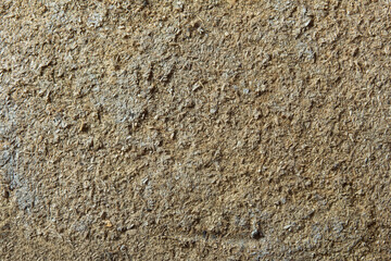 A dirty and old particle board texture as a background. Rotten wood.