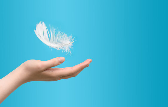 Close up of white feather falling to female palm. Copy space