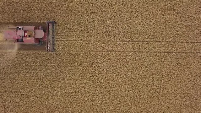 Overhead aerial view of combine harvester harvesting wheat. 2.5x speeded up from 24 fps.