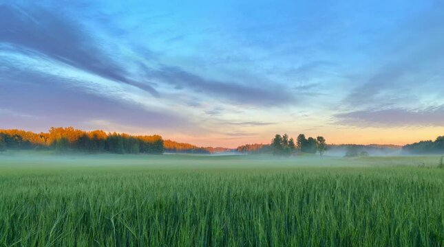 Sunset with looped motion clouds moving over the foggy field.
