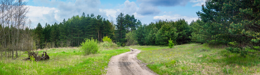 Fototapeta na wymiar dirt road through the forest