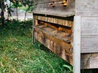 Fototapeta na wymiar rural beehive
