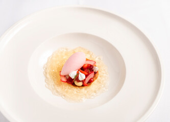 Champagne jelly with raspberry sorbet
