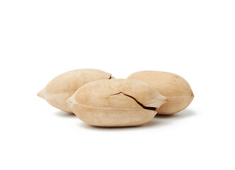 unpeeled pecan isolated on white background
