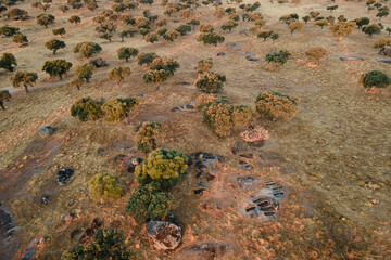 Landscape in Dehesa de la luz. the graves are archaeological remains of IV century AD approximately.