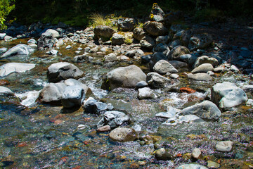 Clear water of a mountain river flowing over rocks