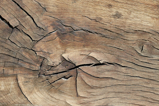 Wooden texture backgrond close up brown color